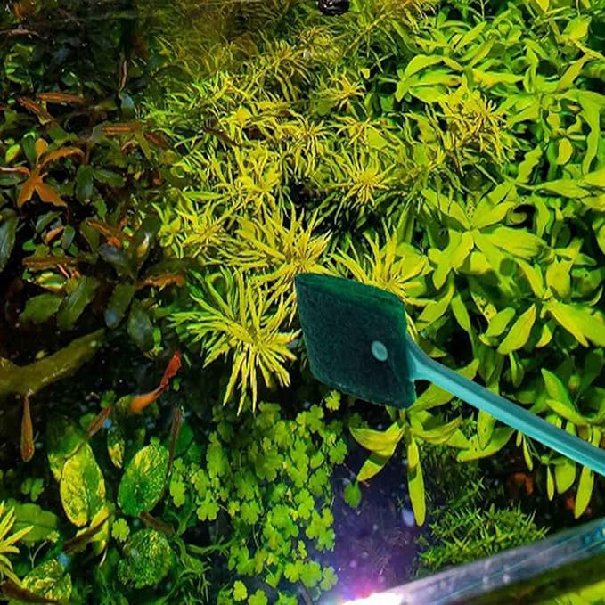 3 PCS Double-Sided Aquarium Fish Tank Algae Cleaning Brush with Non-Slip Handle, Sponge Scrubber Cleaner for Glass Aquariums and Home Kitchen AOODOOM