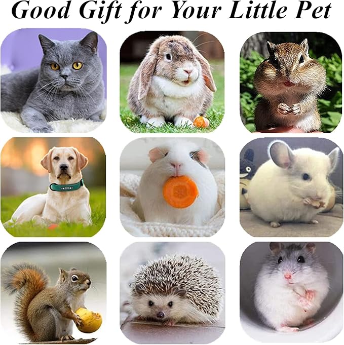 Cat Toys 12Pack Silvervine Chew Stick Kitten Treat Catnip Toy Kitty Natural Stuff Catnip for Cleaning Teeth Indoor Dental Snack Interactive - PAWPICO