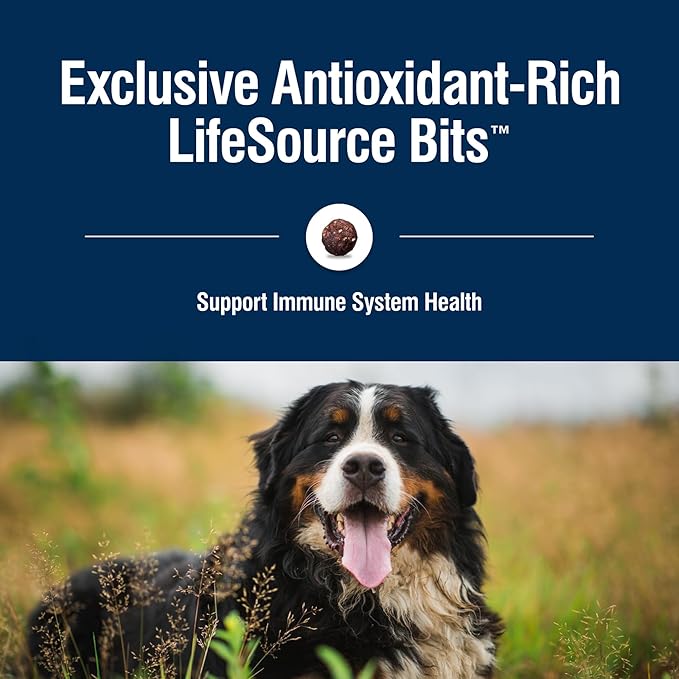 Blue Buffalo True Solutions Blissful Belly Digestive Care Natural Dry Food for Adult Dogs, Chicken, 24-lb. Bag - PAWPICO