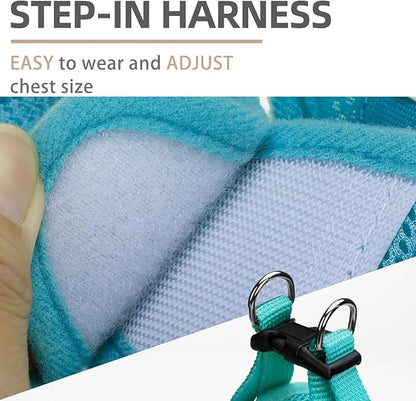 PUPTECK Adjustable Dog Harness Collar and Leash Set Step in No Pull Pet Harness for Small Medium Dogs Puppy and Cats Outdoor Walking Running, Soft Mesh Padded Reflective Vest Harnesses, Turquoise M PUPTECK