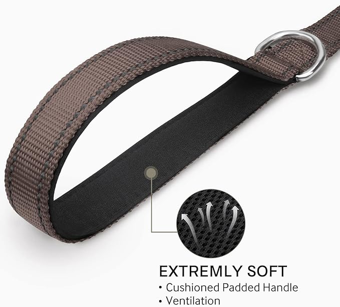 Joytale Double-Sided Reflective Dog Leash, 6 FT/5 FT/4 FT, Padded Handle Nylon Heavy Duty Leashes for Small & Medium Dogs Walking, Brown, 4FT Joytale