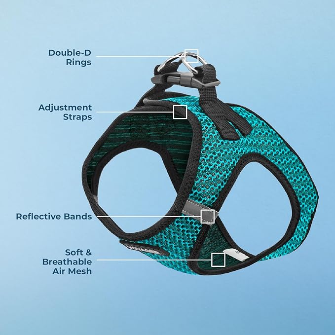 Voyager Step-in Air Dog Harness - All Weather Mesh, Reflective, No Pull Harness for Small, Medium Dogs, Cats - Secure with Hook & Loop Fastener, Buckle, Double D-Rings - Turquoise 2-Tone, L BestPetSuppliesLLC