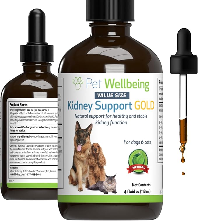 Pet Wellbeing Kidney Support Gold for Dogs & Cats - Healthy Kidney Function, Energy & Fluid Balance, Normal Appetite, Rehmannia, Dong Quai - Veterinarian-Formulated Herbal Supplement 4 oz (118 ml) PetWellbeing