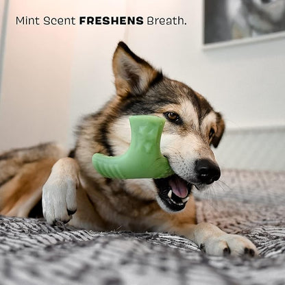 Barkbox Super Chewer Tough Dog Chew Toys for Aggressive Chewers, Dental Stimulating (Chopper - Large) - PAWPICO