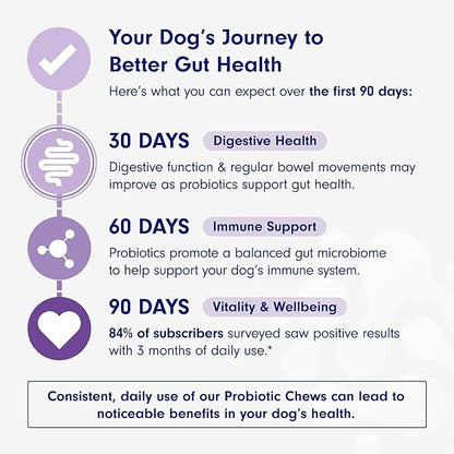 PetLab Co. Probiotics for Dogs, Support Gut Health, Occasional Diarrhea, Digestive Health & Seasonal Allergies - Salmon Flavor - 30 Soft Chews Pack of 2 PetlabCo