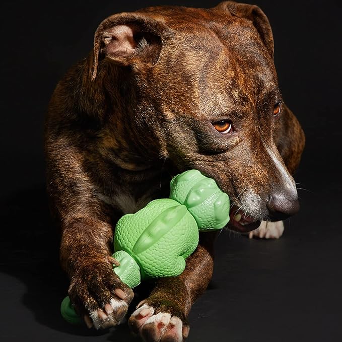 Barkbox Super Chewer Tough Dog Chew Toys for Aggressive Chewers, Dental Stimulating (Iguana - Large) - PAWPICO