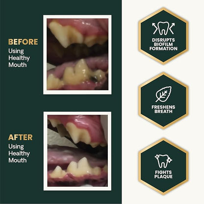 VetriScience Healthy Mouth Dog Dental Powder, Perio Support Clinically Tested Dental Supplement for Small, Medium & Large Breed Dogs, Freshen Breath, Control Plaque & Tartar, Oral Health, 4.2 oz VetriScienceLaboratories