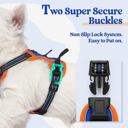 rabbitgoo Dog Harness No Pull with 2 Leash Clips, Adjustable Soft Padded, Reflective Oxford No Choke Pet Vest with Easy Control Handle for Puppy, Blue & Orange, XS rabbitgoo