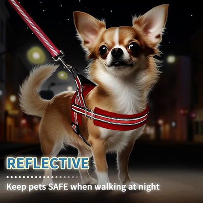 SlowTon No Pull Small Dog Harness and Leash Set, Puppy Soft Vest Harness Neck & Chest Adjustable, Reflective Lightweight Harness & Anti-Twist Pet Lead Combo for Small Medium Dogs (Red, XXS) SlowTon