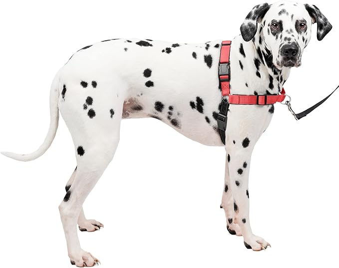 PetSafe Easy Walk Deluxe Dog Harness, No Pull Dog Harness – Perfect for Leash & Harness Training – Stops Pets from Pulling and Choking on Walks – Large, Rose PetSafe