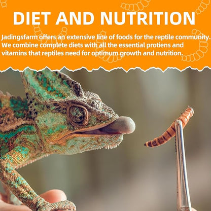 6 Pack Canned Mealworms for Reptiles, Fish, Birds and Small Animals, Meal Worms, Healthy High Protein Treat, Reptile Bird Fish Food 7.2 Ounces Total Jadingfarm