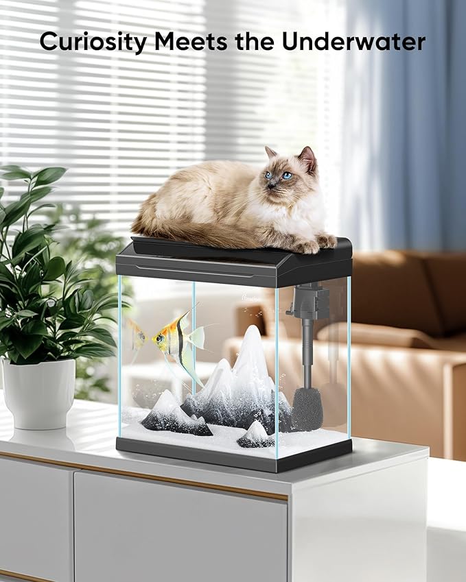 PONDON 4 Gallon Fish Tank with Detachable Lid, Low-Iron Glass Aquarium Starter Kit with LED Light, Beginner-Friendly Betta Aquarium with Removable Filtration PONDON