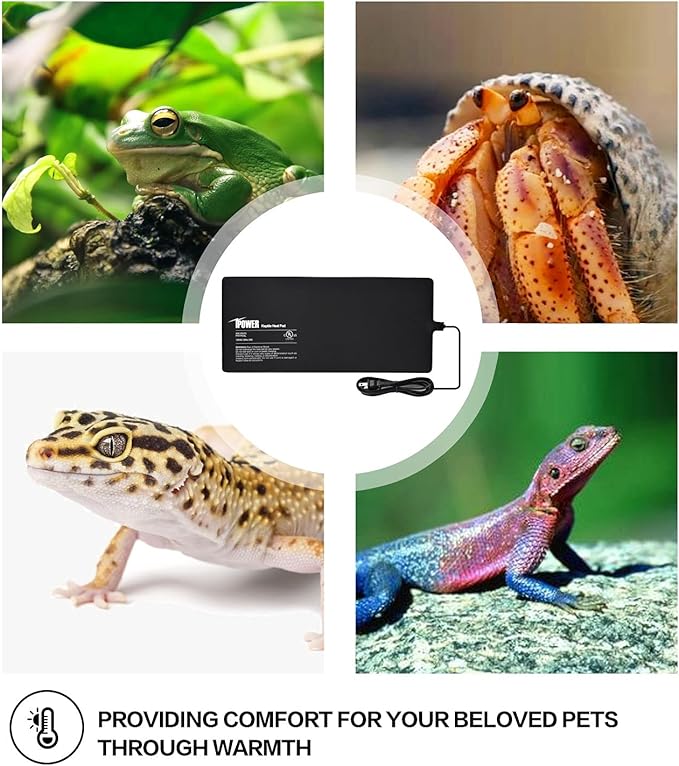 iPower 8X18 Inch Reptile Heat Pad Under Tank Heater Terrarium Warmer Heating Mat and Digital Thermostat Controller for Turtles Lizards Frogs and Other Small Animals iPower