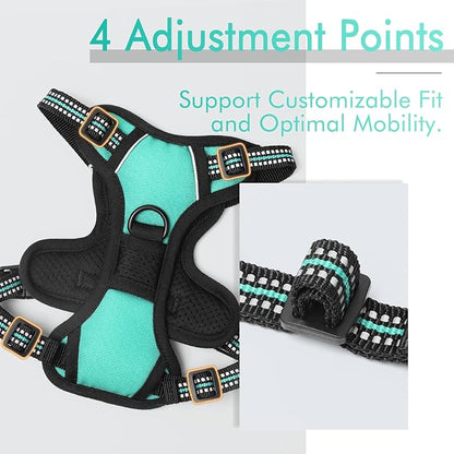 rabbitgoo Dog Harness, No-Pull Pet Harness with 2 Leash Clips, Adjustable Soft Padded Dog Vest, Reflective No-Choke Pet Oxford Vest with Easy Control Handle for Small Dogs, Turquoise, XS - PAWPICO