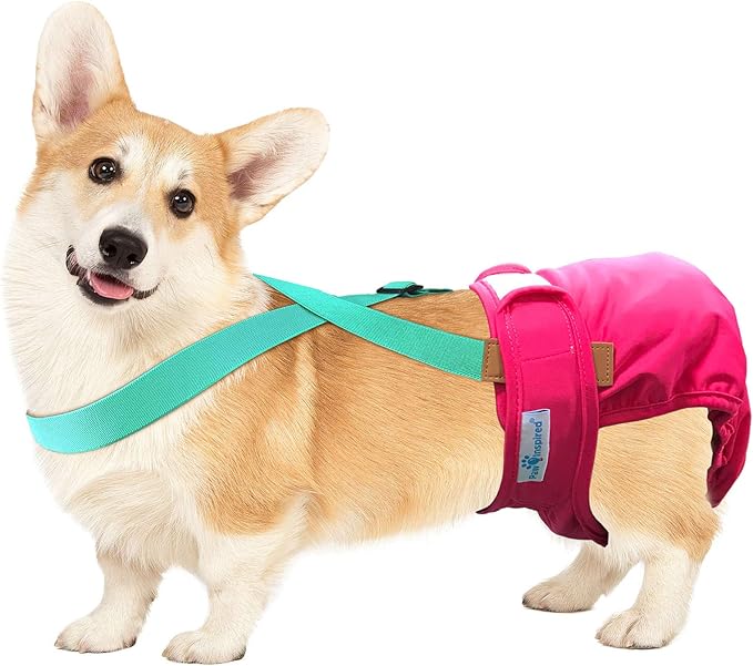 Paw Inspired Dog Diaper Suspenders with Velcro Fasteners | Stretchy Adjustable Suspenders for Female and Male Disposable and Washable Diapers | Fits Small, Medium and Large Size Pets (M/L, Aqua) - PAWPICO