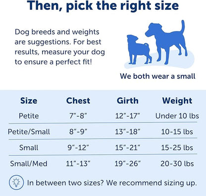 PetSafe Easy Walk No-Pull Dog Harness - The Ultimate Harness to Help Stop Pulling - Take Control & Teach Better Leash Manners - Helps Prevent Pets Pulling on Walks, Small/Medium, Royal Blue/Navy Blue PetSafe