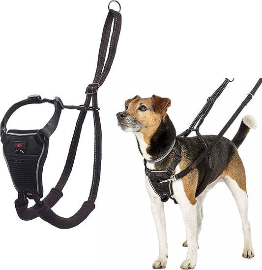 HALTI No Pull Harness - To Stop Your Dog Pulling on the Leash. Adjustable, Lightweight and Easy to Use. Reflective Dog Training Harness for Small Dogs (Size S) CompanyofAnimals