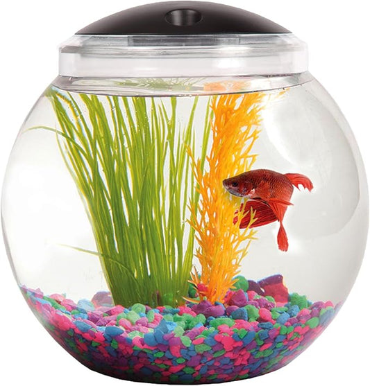1-Gallon Globe Fish Tank with LED Lighting (7 Color Selections), Impact-Resistant Plastic SWPRODUCTS