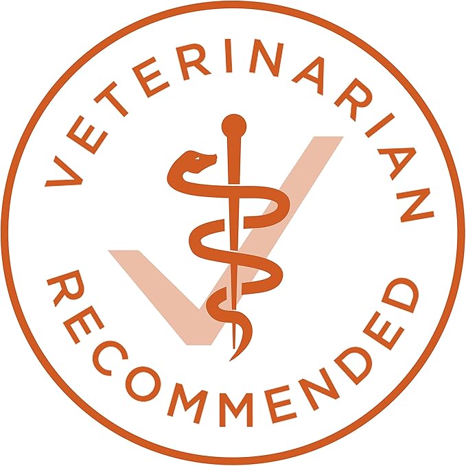 Purina ONE Plus Healthy Weight High-Protein Dog Food Dry Formula - 40 lb. Bag - PAWPICO