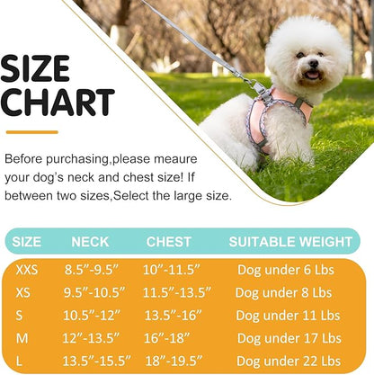 Dog Harness and Leash Set, No Pull Pet Harness for Small Dogs Easy Walking,Soft Breathable Small Dog Harness,Adjustable Reflective Step in Vest Harness for Puppy,Kitten, Cats TomteNisse