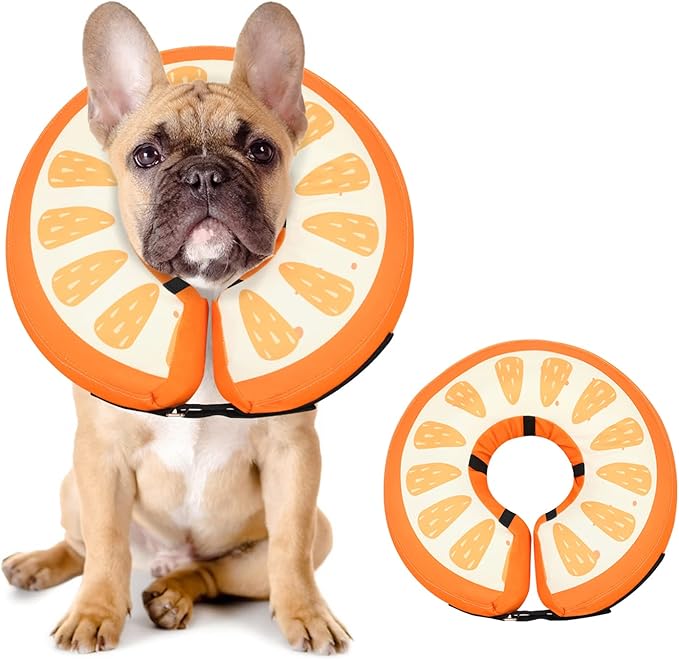 Dog Cone Collar for Small Medium Large Dogs for After Surgery, Pet Inflatable Neck Donut Collar Soft Protective Recovery Cone for Dogs and Cats - Alternative E Collar Does not Block Vision Orange,M MIDOG