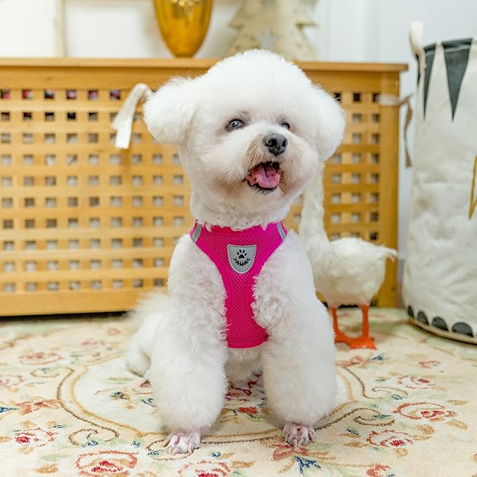 PUPTECK Adjustable Dog Harness Collar and Leash Set Step in No Pull Pet Harness for Small Medium Dogs Puppy and Cats Outdoor Walking Running, Soft Mesh Padded Reflective Vest Harnesses, Solid Pink XS PUPTECK