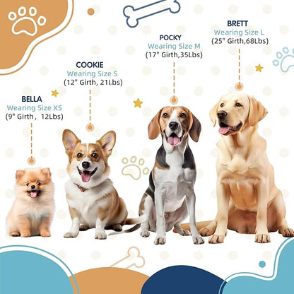 Tri-Color Dog Harness, Adjustable Step-in Design No Pull Dog Harness for Medium Dogs No Pull, Heavy Duty Puppy Harness, Easy for Walking Dog Harness Medium Size Dog Blue Orange Pawhuggies