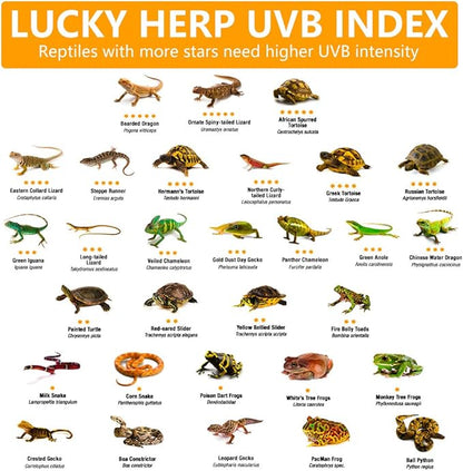 LUCKY HERP 100 Watt UVA+UVB Full Spectrum Vapor Heat Lamp Bulb, High Intensity Self-Ballasted Heat Basking Lamp/Bulb/Light for Reptile and Amphibian, Sun Lamp for Bearded Dragon Lizard Turtle(Clear) LUCKYHERP