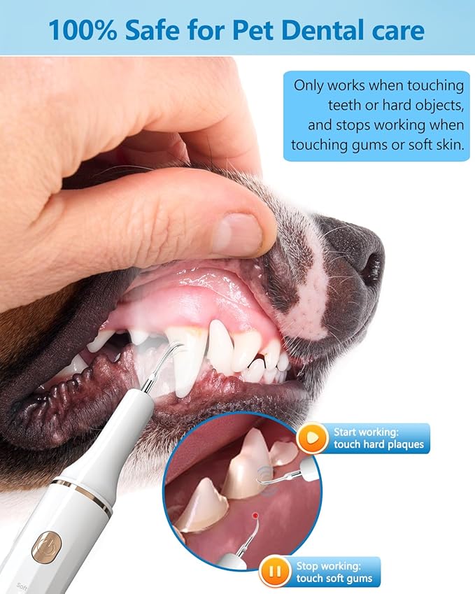 Hansaplast Plaque Remover for Teeth, Dog Teeth Cleaning, Dental Tools to Remove Tartar and Stains, Safe for Dogs & Cats, with Led Light & 5 Adjustable Modes(White) Hansaplast
