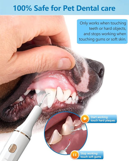 Hansaplast Plaque Remover for Teeth, Dog Teeth Cleaning, Dental Tools to Remove Tartar and Stains, Safe for Dogs & Cats, with Led Light & 5 Adjustable Modes(White) Hansaplast