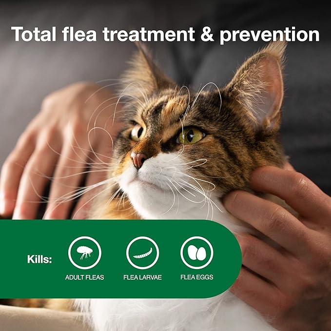 Advantage II Large Cat Vet-Recommended Flea Treatment & Prevention | Cats Over 9 lbs. | 6-Month Supply Advantage