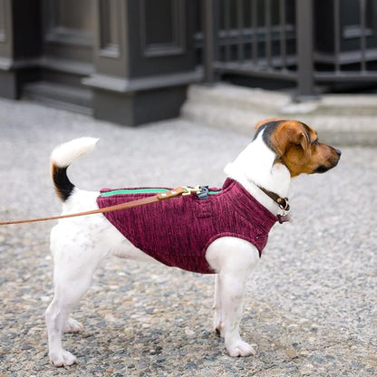 Gooby Zip Up Fleece Dog Sweater - Fuchsia Wash, Small - Warm Pullover Fleece Step-in Dog Jacket with Dual D Ring Leash - Winter Small Dog Sweater - Dog Clothes for Small Dogs Boy and Medium Dogs - PAWPICO