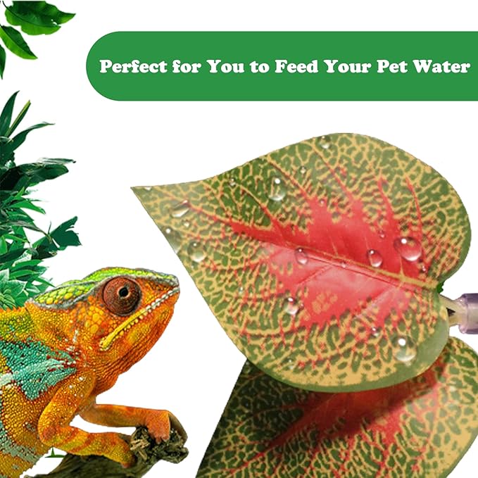 5Pcs Reptile Supplies Set, Include a Reptile Feeding Tongs, Two Stainless Steel Tweezers, Mini Dustpan, Brush and Leave for Hamsters, Turtle, Chameleon, Snake, Spider and Other Small Animals PHYPOBLE