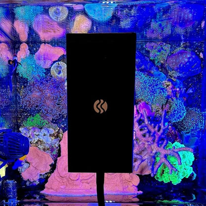 CURRENT Orbit Marine NANO LED 16 Watt Reef LED Saltwater Marine Aquarium Coral Light with Dimming, Moonlight, Cloud Cover & Lighting Storm Clip On Small Fish Tank w/Mounting Bracket (4095) Current+USA