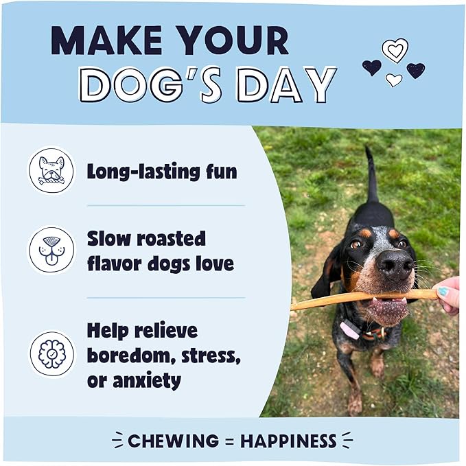 Pawstruck All-Natural 12" Bully Sticks for Dogs - Best Long Lasting, Rawhide Free, Low Odor & Grain Free Dental Chew Treat - Healthy Single Ingredient 100% Real Beef - 1 lb. Bag - PAWPICO