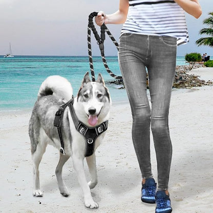 BARKBAY No Pull Dog Harness Large Reflective Dog Harness with Front Clip and Easy Control Handle for Walking Training Running with ID tag Pocket(Black,M) - PAWPICO