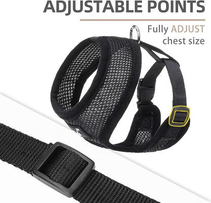 PUPTECK Soft Mesh Dog Harness and Leash Set Pet Puppy Cat Comfort Padded Vest No Pull Harnesses, Solid Black, S PUPTECK