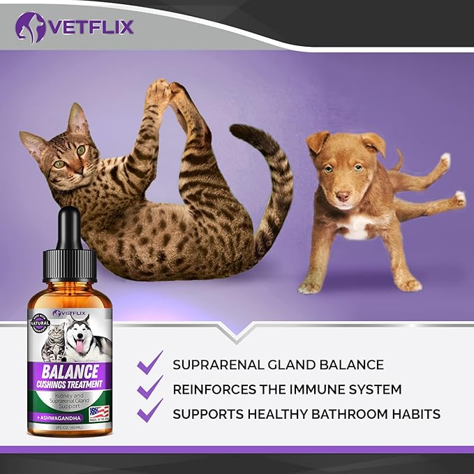Pet Adrenal Support for Dogs & Cats - Made in USA - Cushings Treatment for Dogs - Cat & Dog Supplement for Kidney Support Vetflix