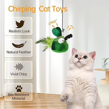 Chirping Cat Toys Hanging Cat Feather Toy - Catnip Interactive Cat Toys for Indoor Cats - Automatic Cat Toy for Cat Exercise & Kicker to Self Play (Emerald Pangpang) - PAWPICO