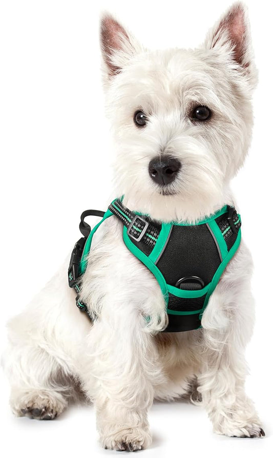 rabbitgoo Dog Harness No Pull with 2 Leash Clips, Adjustable Soft Padded, Reflective Oxford No Choke Pet Vest with Easy Control Handle for Puppy, Black & Turquoise, XS rabbitgoo