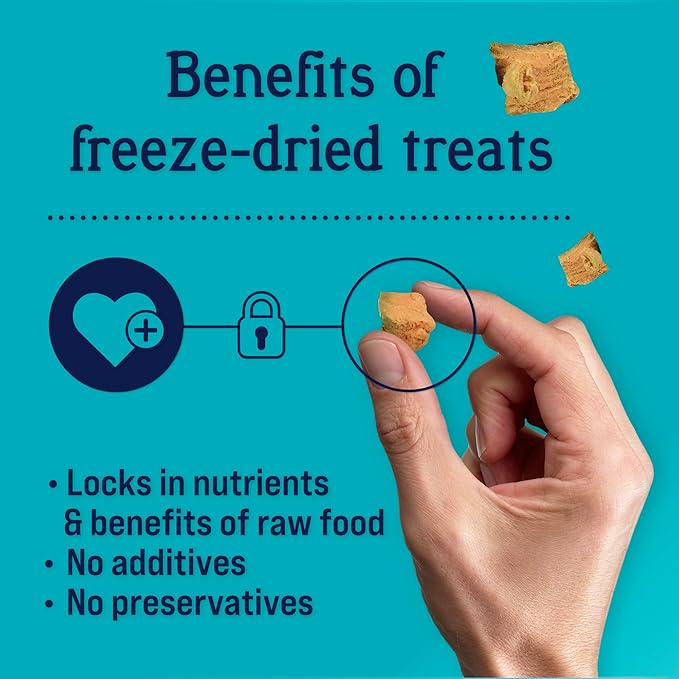 Stewart Freeze Dried Dog Treats, Wild Salmon, 2.75 oz Grain Free & Gluten Free, Resealable Pouch, Single Ingredient, Training Treat in Beef Liver, Salmon, Chicken Liver & Chicken Breast 4, 14, 21 oz - PAWPICO