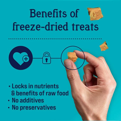 Stewart Freeze Dried Dog Treats, Wild Salmon, 2.75 oz Grain Free & Gluten Free, Resealable Pouch, Single Ingredient, Training Treat in Beef Liver, Salmon, Chicken Liver & Chicken Breast 4, 14, 21 oz - PAWPICO