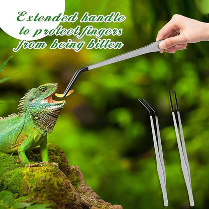 Lasnten 2 Pcs Extra Long Stainless Steel Reptile Feeding Tongs with Rubber Tip Bearded Dragon Aquarium Straight and Curved Long Tweezer Terrarium Feeder Tool for Tank(Silver, 15 Inch) Lasnten