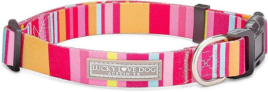 Lucky Love Dog, Colorful Stripes Dog Collar, Yellow, Pink, Blue Color Dog Collar, Cute Dog Collar for Girl Dogs - (Small, Molly Collar) LuckyLoveDog