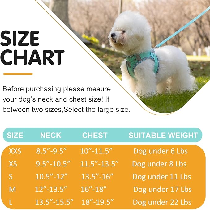 Dog Harness and Leash Set, No Pull Pet Harness for Small Dogs Easy Walking,Soft Breathable Small Dog Harness,Adjustable Reflective Step in Vest Harness for Puppy,Kitten, Cats TomteNisse