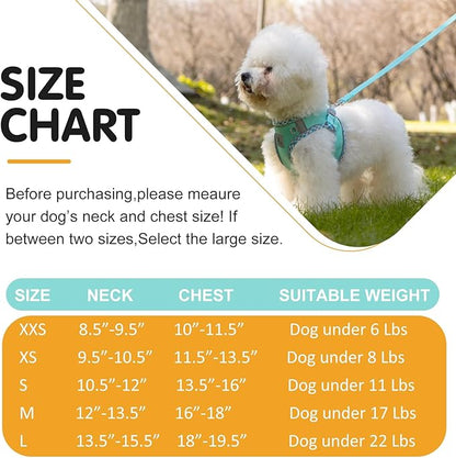 Dog Harness and Leash Set, No Pull Pet Harness for Small Dogs Easy Walking,Soft Breathable Small Dog Harness,Adjustable Reflective Step in Vest Harness for Puppy,Kitten, Cats TomteNisse