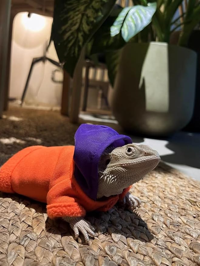 Lizard Clothes for Bearded Dragons Handmade Cloth Material Hoodies Sweater Coat Reptile Apparel Costume Skin Protection Photo Party for Lizard Bearded Dragon Crested Gecko Chameleon (Orange) KUNBIUH