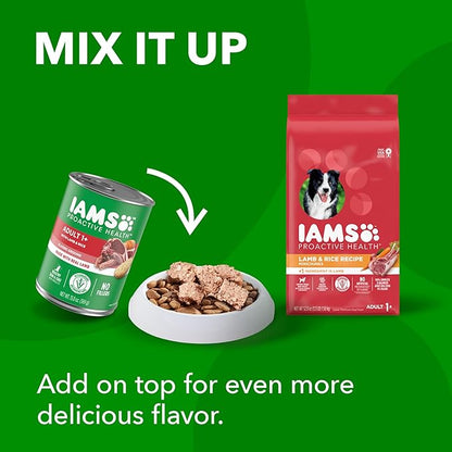 IAMS Minichunks Adult Dry Dog Food Lamb & Rice Recipe Dog Kibble, 15 lb. Bag - PAWPICO