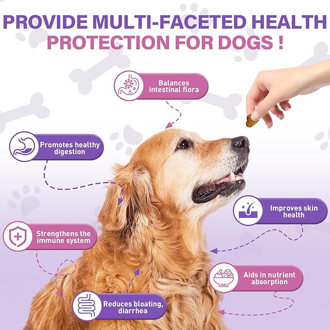 Probiotics For Dogs Chews 400 Probiotic and Digestive Enzymes Gut Health Itching Dog Digestive Health Yeast Prebiotic Supplement Immune Support Reduce Diarrhea Soft Chewable Tablets (Chicken Flavor) TTLXBLprotectsdoghealth