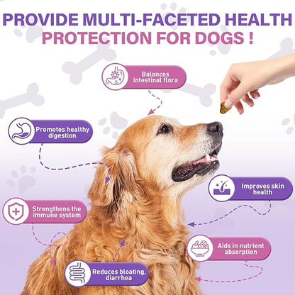 Probiotics For Dogs Chews 400 Probiotic and Digestive Enzymes Gut Health Itching Dog Digestive Health Yeast Prebiotic Supplement Immune Support Reduce Diarrhea Soft Chewable Tablets (Chicken Flavor) TTLXBLprotectsdoghealth